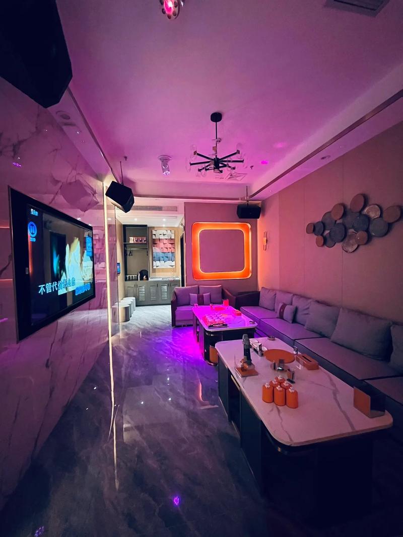 自贡商务KTV：商务场所也能放松身心-荣县ktv预定